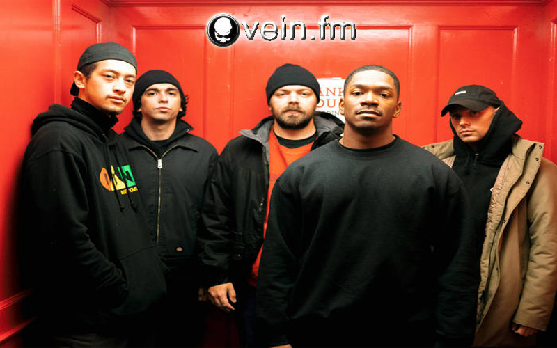 Vein.fm Band Metalcore Eksperimental dengan Energi Brutal