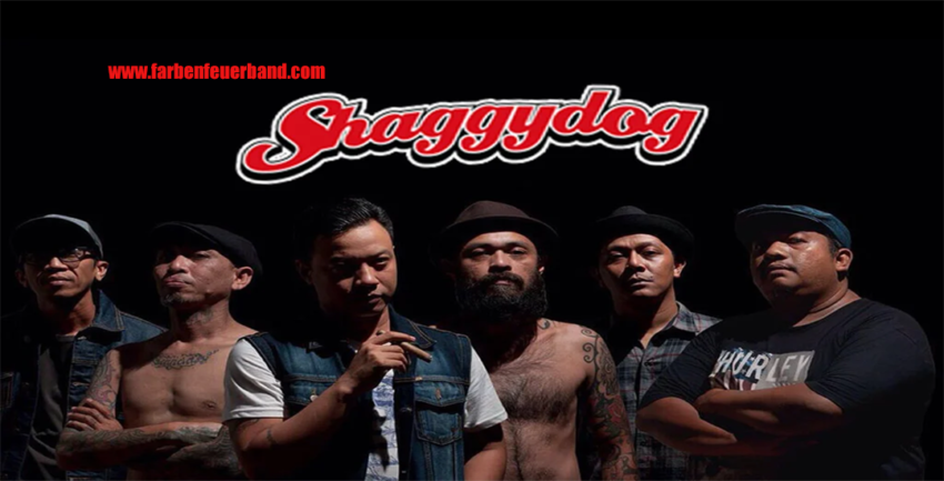 Reggae Music dan Shaggydog